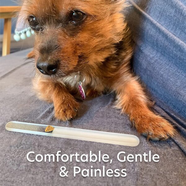 Painless Pet Nail Filer for Claws & Paws