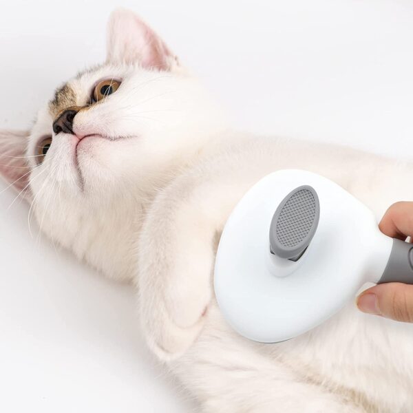 Cat Brush for Shedding and Grooming